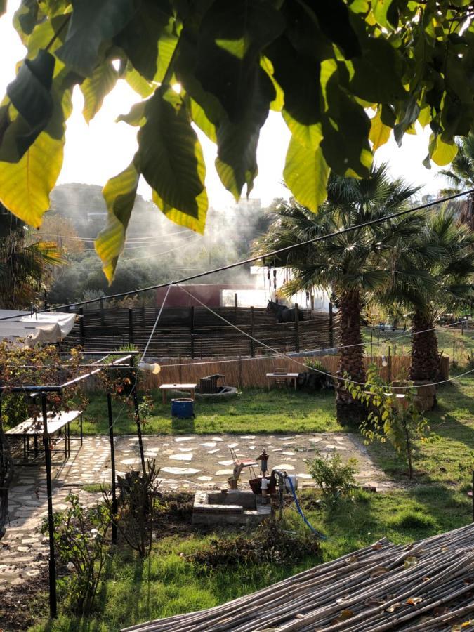 Zirkon Doğa Butik Otel Fethiye Exterior foto